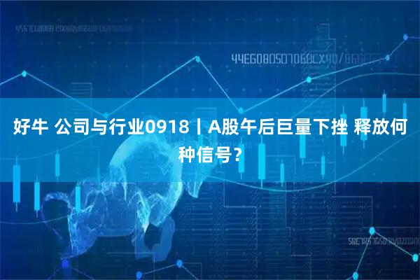 好牛 公司与行业0918丨A股午后巨量下挫 释放何种信号？