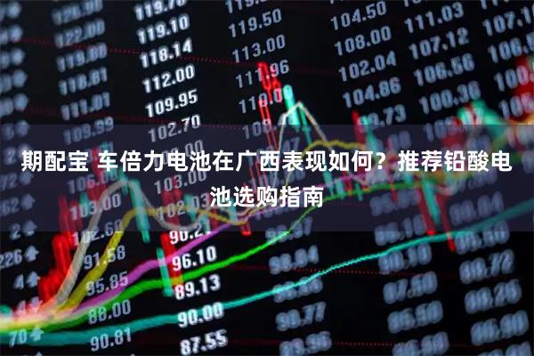 期配宝 车倍力电池在广西表现如何?推荐铅酸电池选购指南