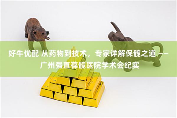 好牛优配 从药物到技术,专家详解保髋之道 —— 广州强直葆髋医院学术会纪实