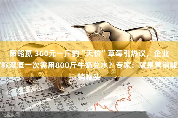 策略赢 360元一斤的“天价”草莓引热议,企业宣称灌溉一次需用800斤牛奶兑水?专家:就是营销噱头