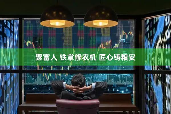 聚富人 铁掌修农机 匠心铸粮安